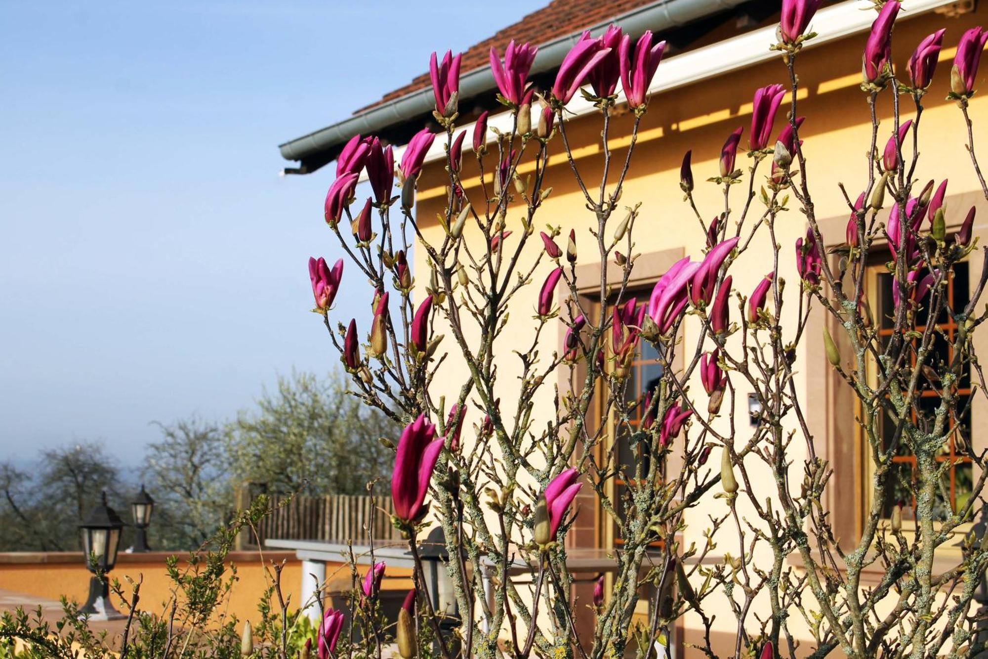 Maison Villabella Butten 외부 사진